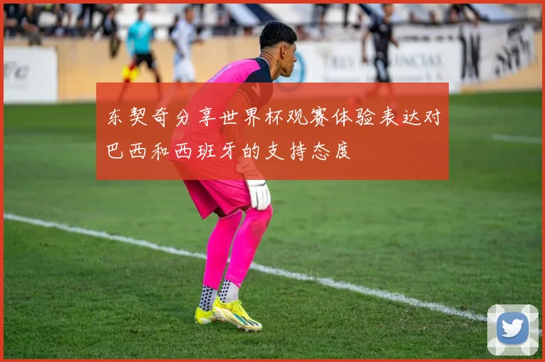 东契奇分享世界杯观赛体验表达对巴西和西班牙的支持态度